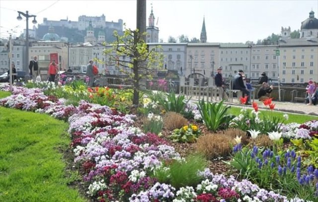 Blühend: Das städtische Gartenamt sorgt mit seiner liebevoll gestalteten Blumenpracht für "Frühlingsgefühle". | Foto: Stadt Salzburg
