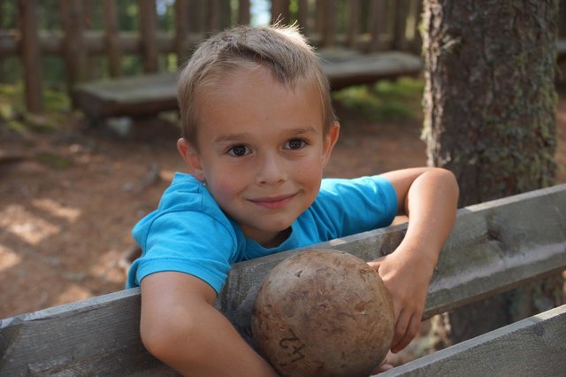 Heuer entsteht im Kugelwald am Glungezer eine Station für Kleinkinder.