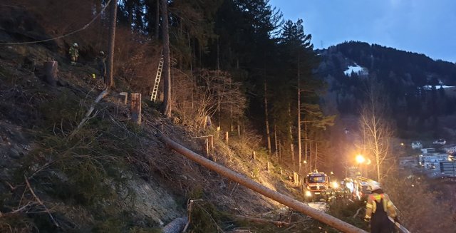 Als Erstmaßnahmen wurden oberhalb des Tramserwegs Bäume gefällt. | Foto: Feuerwehr Landeck