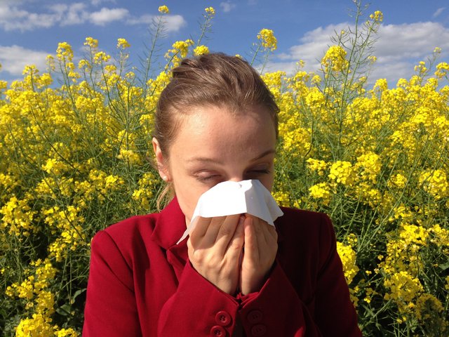 Jetzt beginnt wieder die Zeit der Nieserei - die Pollen sind am Weg