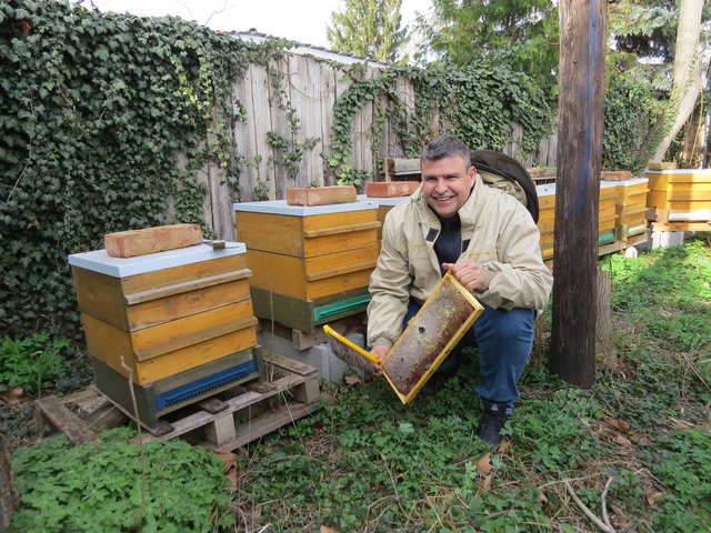 Peter Kubista hat einige seiner Bienenvölker im Garten aufgestellt und kümmert sich intensiv darum.