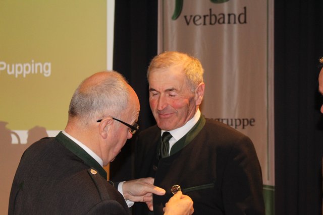 Rebhuhnnadel für Johann Doppelauer.