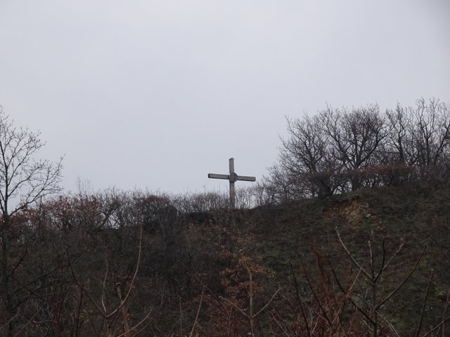 Im Zuge einer Wanderung über den Scheiterberg ...