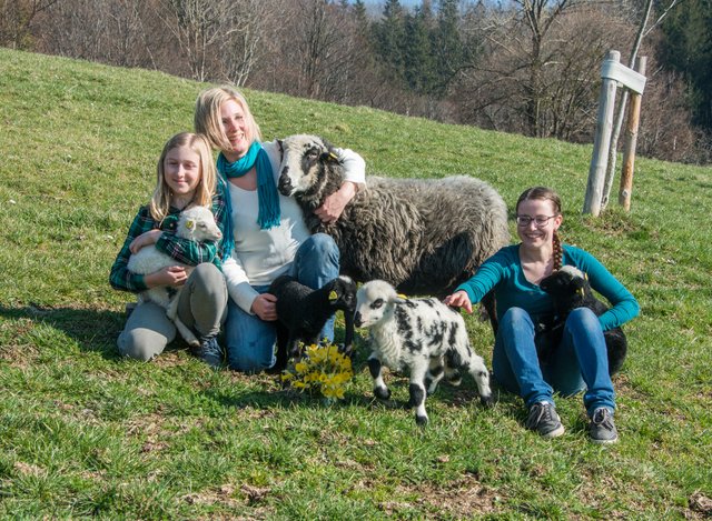 Vierlingsgeburt bei Familie Zaunmair in Micheldorf