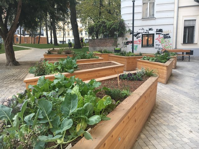 Im Strauß-Park am Neubau warten die Hochbeete auf Gärtner. | Foto: GB