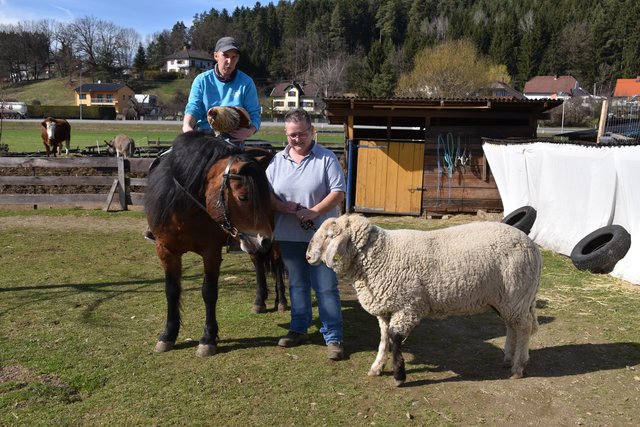 Knut Thema Auf Meinbezirk At