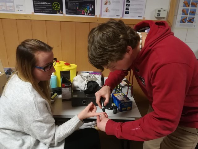 Die Schüler und Schülerinnen sind die eigenen Versuchskaninchen