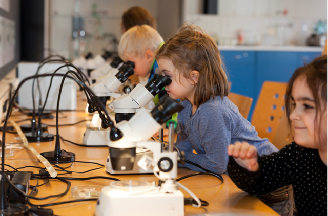Die Davinci Schule am Ökopark Hartberg dienst als Vorzeigeschule für die Kirchlich Pädagogische Hochschule Graz.  | Foto: Davinci-Schule
