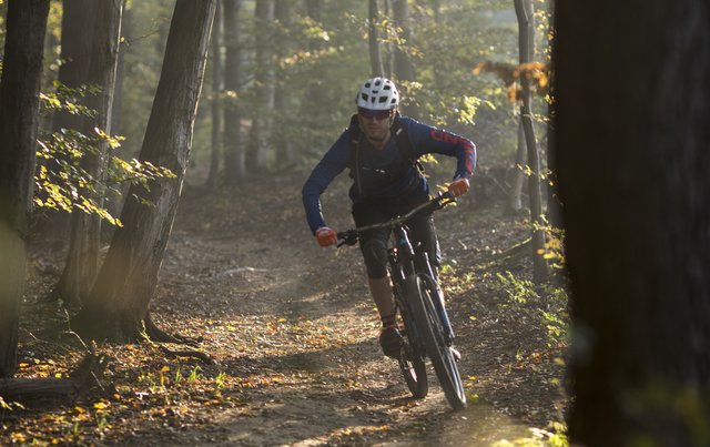 Für Mountainbiker gibt es rund um Penzing bald einige neue Strecken zu erkunden. | Foto: NÖ-Werbung/Markus Frühmann