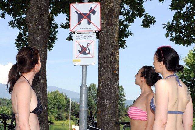 Hier sind Hunde verboten. Stadt bittet Bevölkerung, das zu respektieren.