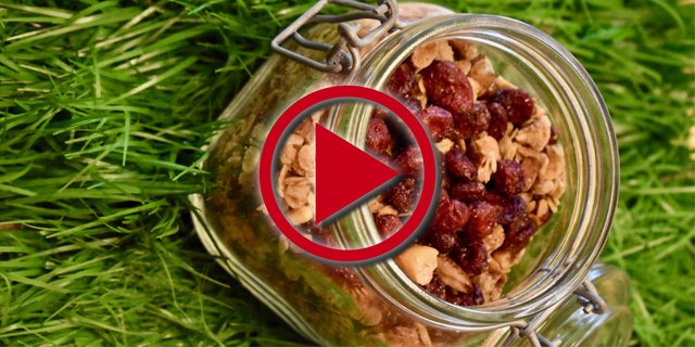 Das Knuspermüsli mit Nüssen wird zum Frühstück immer beliebter. Aber auch als Snack oder Topping eignet sich Granola bestens.