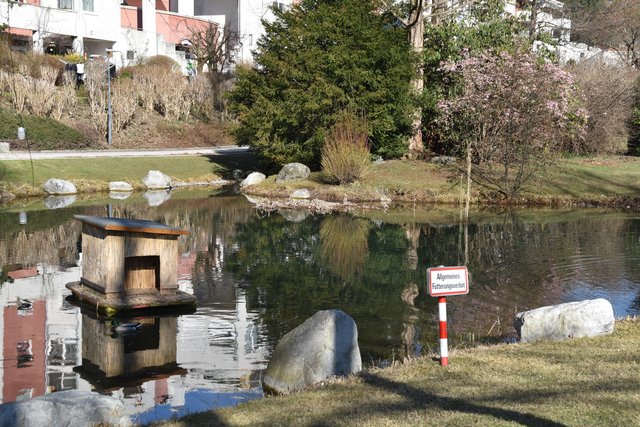 Gärtner der Grünanlagen Frühling in HöttingWest Innsbruck