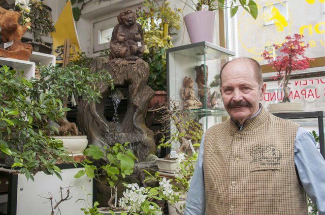 Hans Günter Ebetshuber holte das japanische Flair mit den berühmten Bonsaibäumchen mitten nach Simmering.  | Foto: Unger