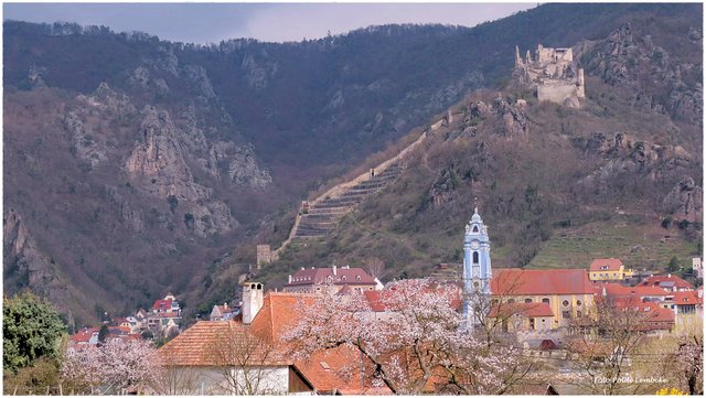 Dürnstein mit der Ruine Dürnstein.