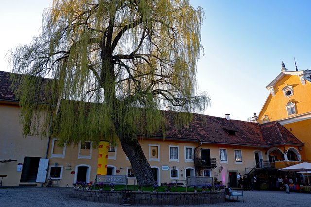 Schloss Gamlitz, Auffahrt | Foto: Photo Credit by Judith Pataki