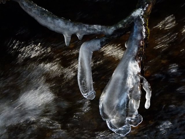 Eistropfen am Bach | Foto: Franz Pichler