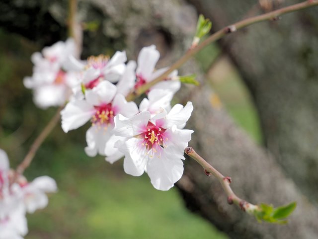 Winter | Foto: Sabine Mayer