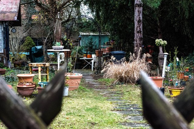 Irrtümlich 5000 ISO eingestellt | Foto: Kurt Dvoran