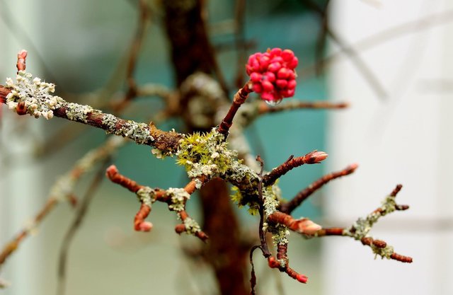 Wien. | Foto: Ottilie Ebner