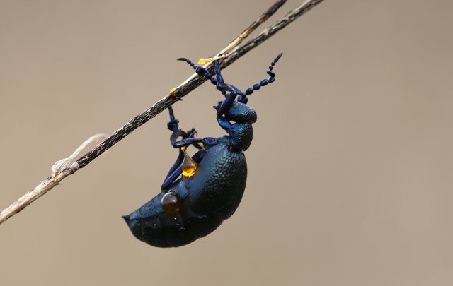 Mitten in der Einöde | Foto: Richard Loewe