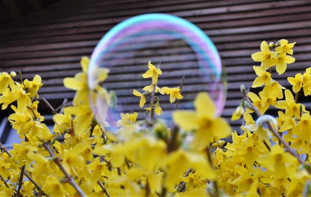 Endlich wieder Farbe im Land | Foto: Koloman Biro
