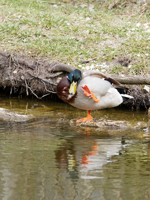 Akrobatik | Foto: Anton Kroh 