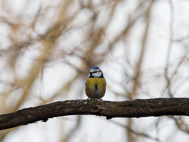 Ausguck | Foto: Anton Kroh