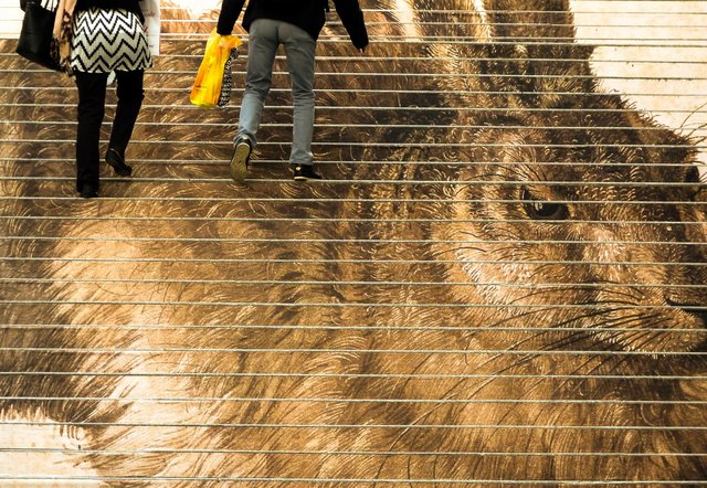 Steig auf die Stiege | Foto: Kurt Dvoran