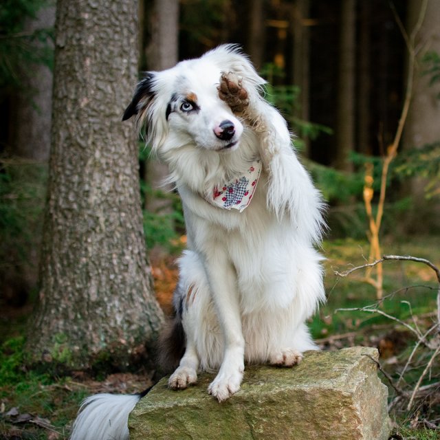 Bye bye Arbeitswoche | Foto: Astrid Dengscherz
