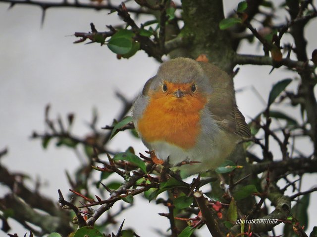 Don't worry, be happy | Foto: Doris Schweiger