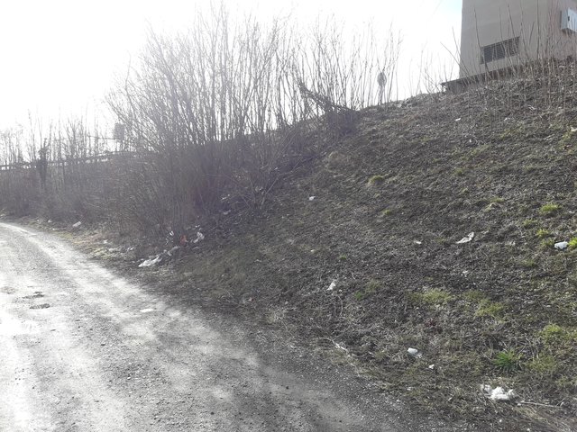 Neue Grenze in Braunau | Foto: privat