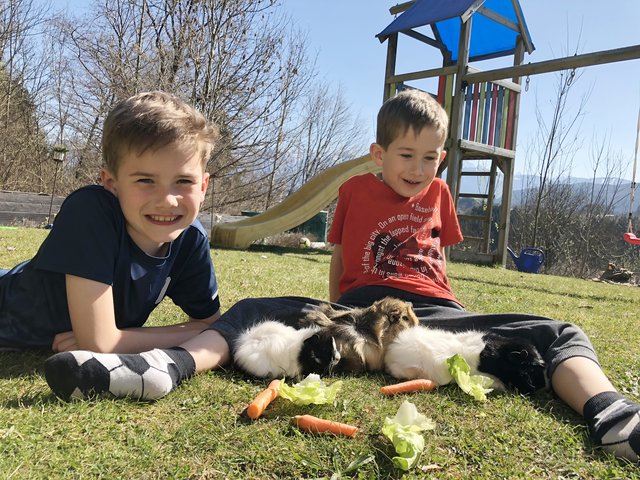 Tiere machen Freude, bedeuten aber auch Verantwortung. Das wissen Matthias und Thomas, hier mit ihren Meerschweinchen Trixi, Mia und Puschel | Foto: Winkler