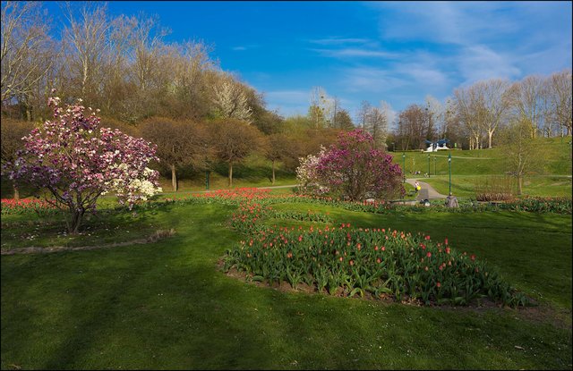 Die zuständigen Gärtner sind schon fleissig mit der Frühjahrsbepflanzung und teile davon sind auch schon fertig, einfach herrlich, blühende Magnolien und wunderschöne Tulpenbeete. Dieser Teil des Kurparks Oberlaa trägt die Bezeichnung "Kurgarten".