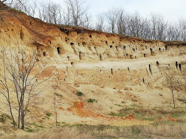 Bienenfresserhöhlen am Ungerberg