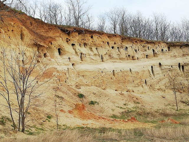 Bienenfresserhöhlen am Ungerberg | Foto: Werner Achs