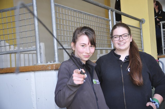 Lisa &amp; Lisi