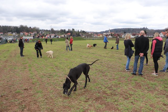 Jetzt hat auch Hausmannstätten eine Hundewiese mit Trinkbrunnen und Sitzbänken. | Foto: Edith Ertl