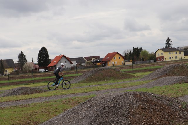Foto: Edith Ertl