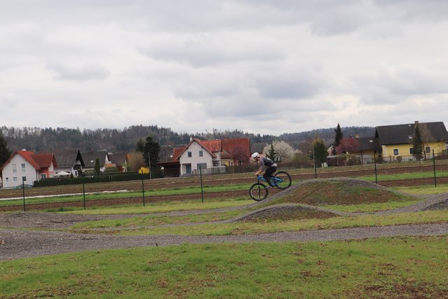 Foto: Edith Ertl