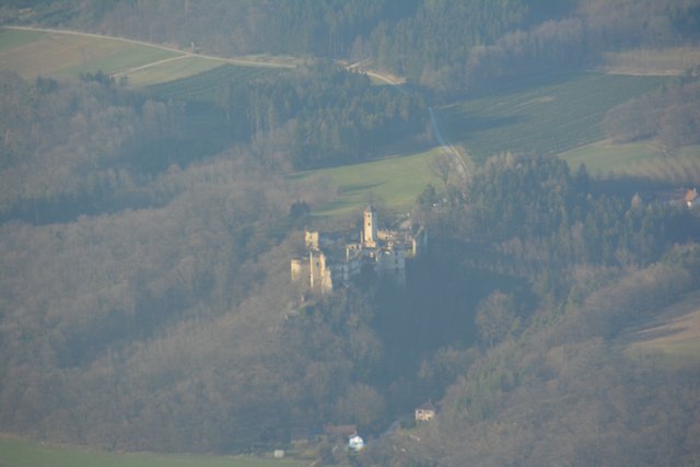 Hohenegg | Foto: Tanja Handlfinger