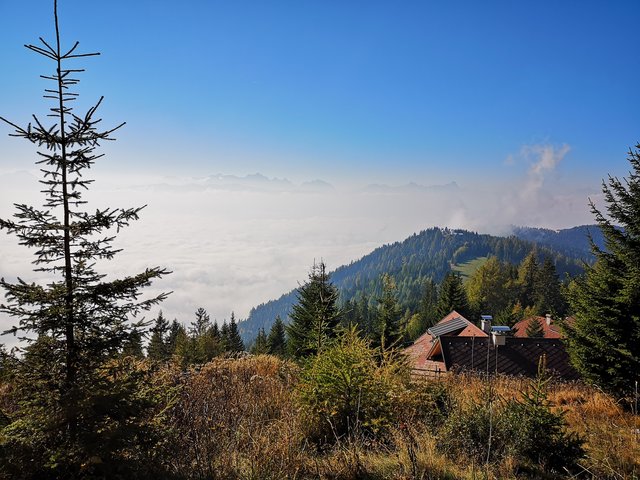 Blick über die Pöllinger-Siedlung, wo das "Almdorf" hätte entstehen sollen | Foto: Kompan