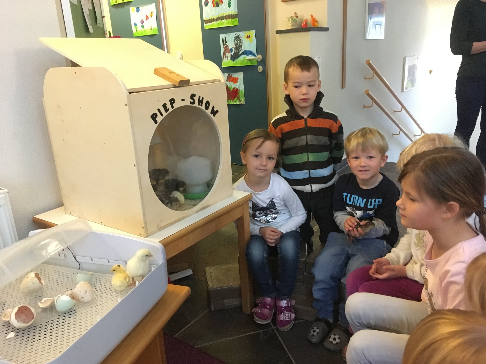 Im Kindergarten piept‘s: Spannendes Erlebnis: Küken sind im Nußbacher