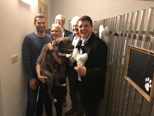 Hier fühlt man sich pudelwohl: Im Beisein von Bürgermeister Franz Jost, Stadtrat Horst Himler und Gemeinderat Roland Gogg eröffnete Annalena Rath ihre Hundepension Pfotenglück in Stadtbergen. | Foto: Pfotenglück