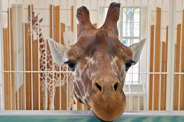 Foto: Norbert Potensky