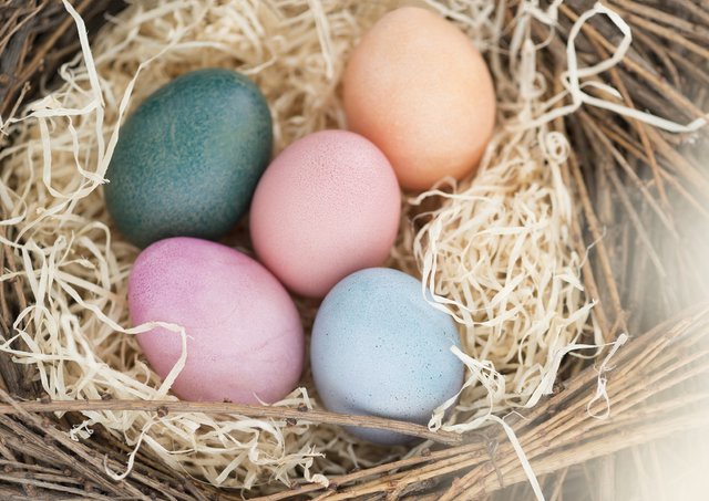 235 Eier verzehren wir Österreicher pro Jahr. | Foto: Mev