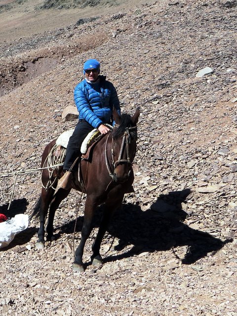 Die Anreise erfolgte ganz traditionell – wie es sich für einen argentinischen "Gaucho" gehört – mit dem Pferd. | Foto: KK