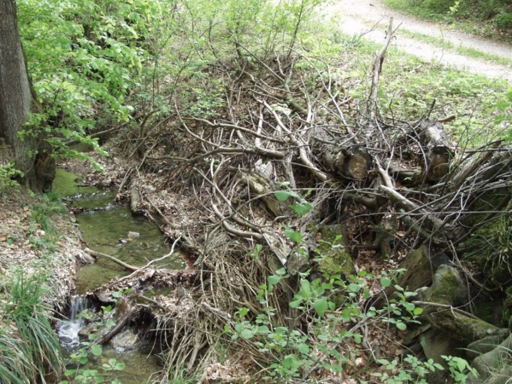 Auch aus einem kleine Wildbach wird bei Starkregen rasch ein reißender Fluss.