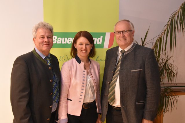 Karl Grabmayr, Michaela Langer-Weninger, Franz Reisecker.