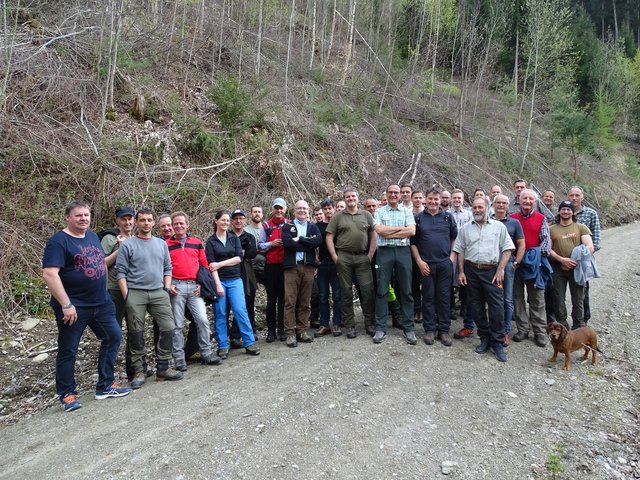 FachexpertInnen aus ganz Österreich nahmen an der Pro Silva Exkursion teil. | Foto:  Abt. Forstplanung