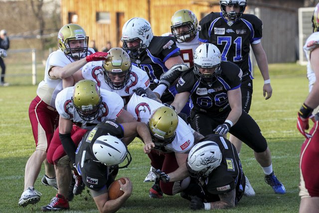 Mit viel Selbstvertrauen kommen die Telfs Patriots aus ihrem ersten Sieg in der Division 1 zum Heimspiel am 20. April, 18:00 Uhr am Telfer Emat.